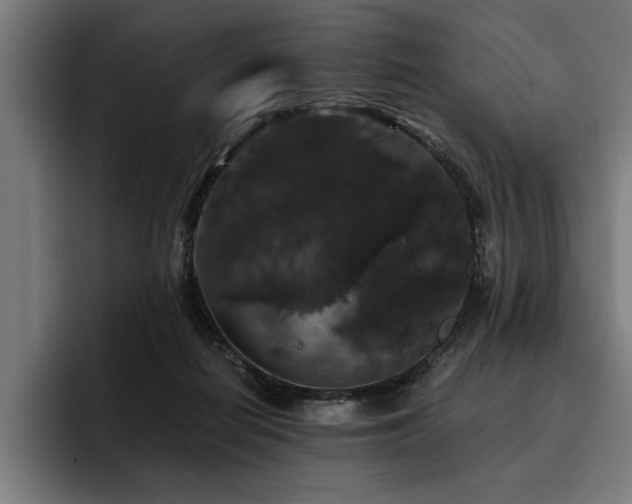 X0000093400266200710121104