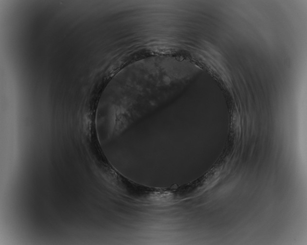 X0000093400271200710121104
