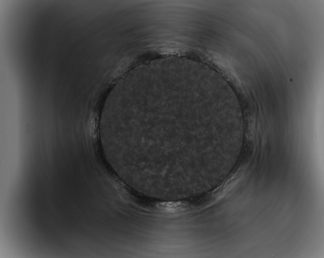 X0000093400273200710121104