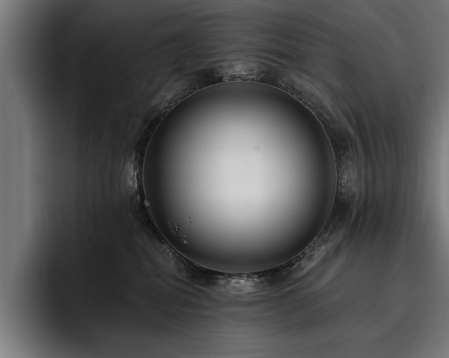 X0000093400282200710121104