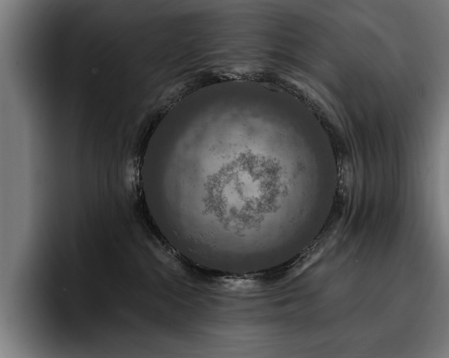 X0000093400284200710121104