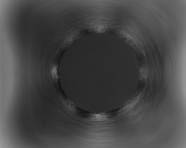 X0000093400286200710121104