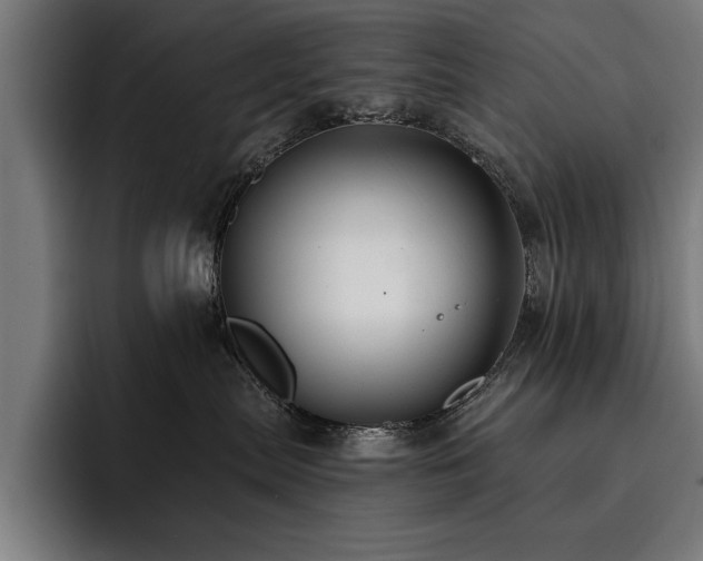 X0000093400287200710121104