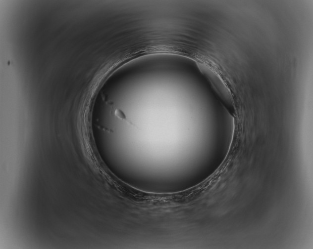 X0000093400289200710121104
