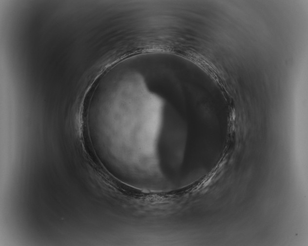 X0000093400290200710121104