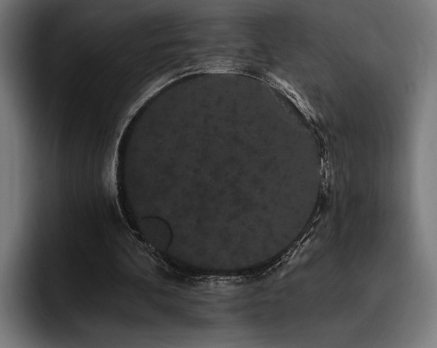 X0000093400292200710121104