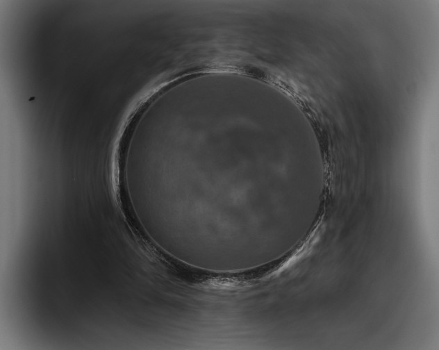 X0000093400294200710121104