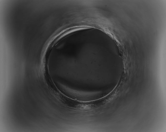 X0000093400295200710121103