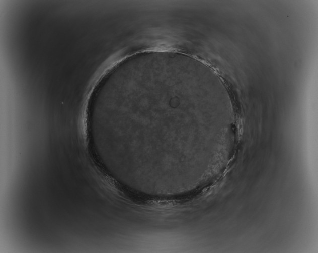 X0000093400296200710121103