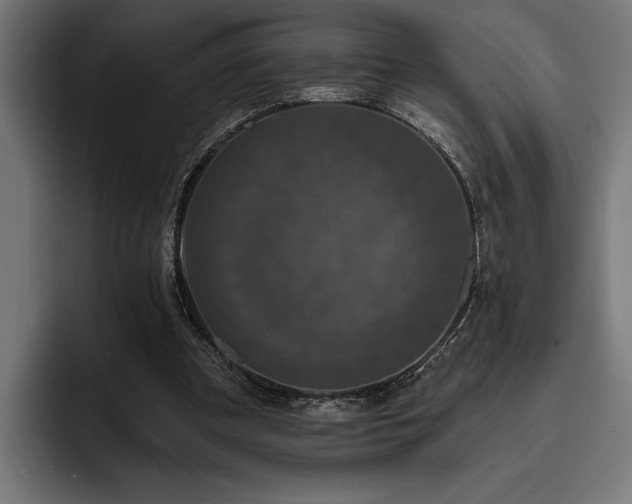 X0000093400297200710121103