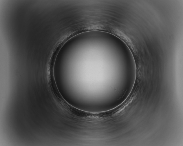 X0000093400298200710121103