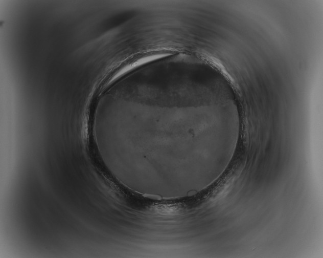 X0000093400299200710121103