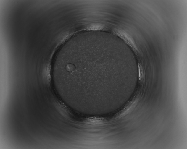 X0000093400300200710121103