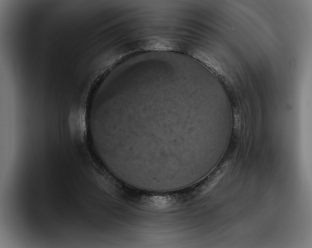 X0000093400302200710121103