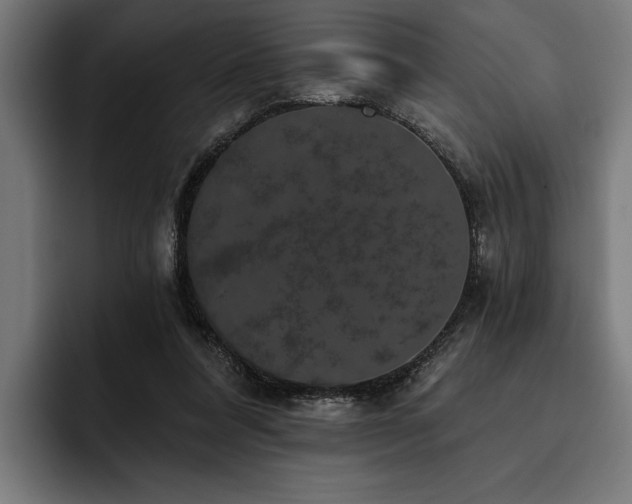 X0000093400304200710121103