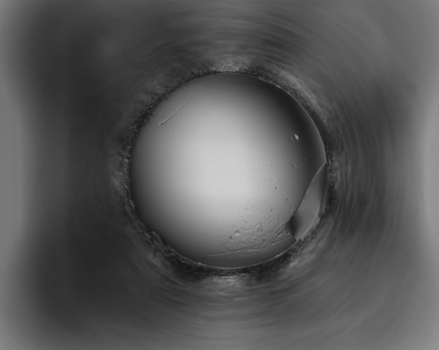 X0000093400307200710121103