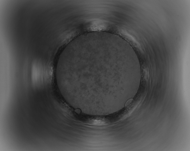 X0000093400308200710121103