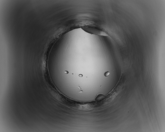X0000093400309200710121103