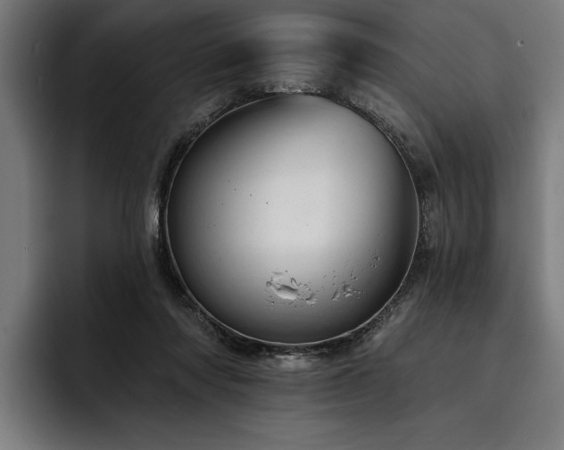 X0000093400310200710121103