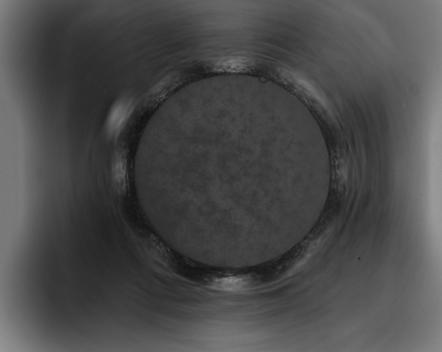 X0000093400312200710121103