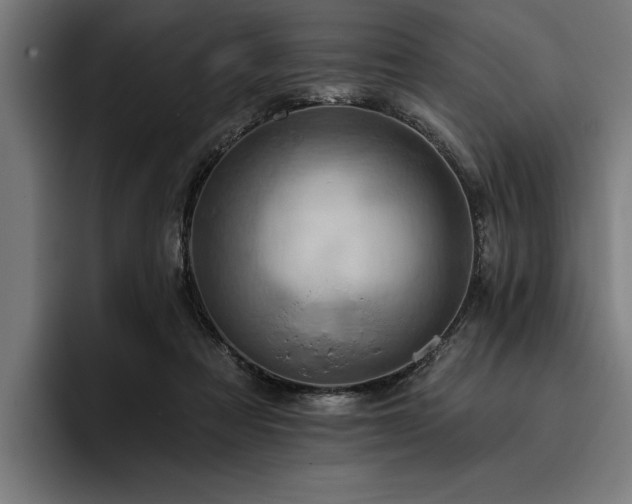 X0000093400313200710121103