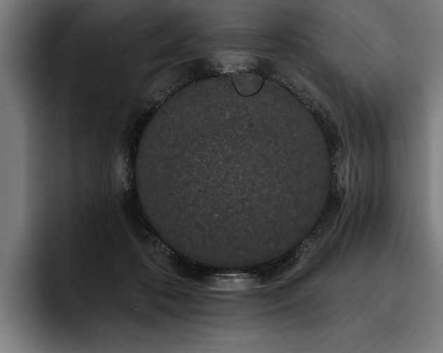 X0000093400316200710121103