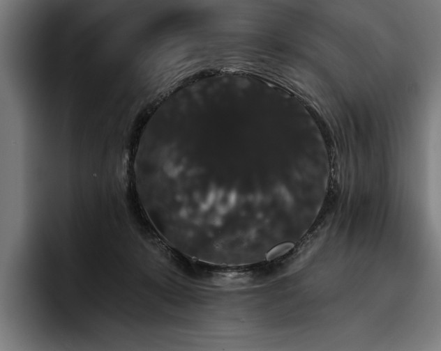 X0000093400319200710121103