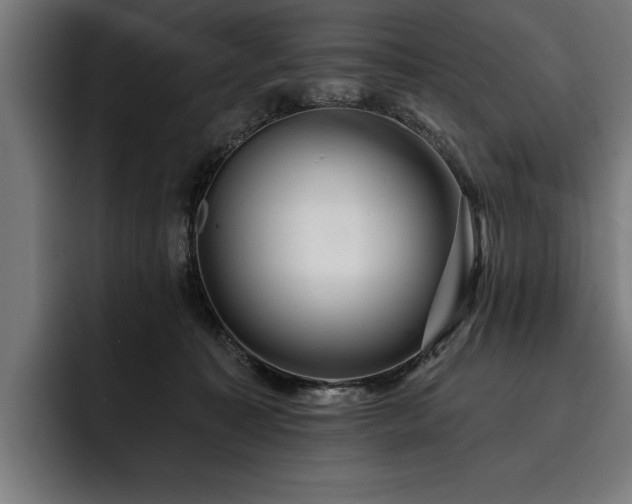 X0000093400323200710121103