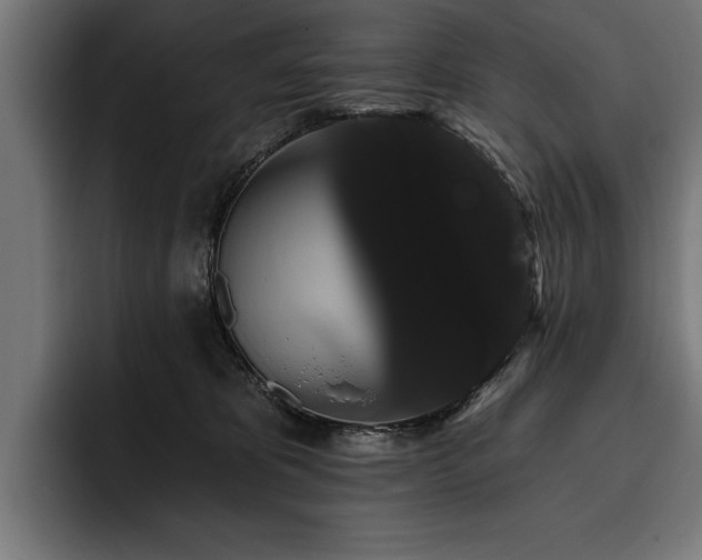 X0000093400325200710121103