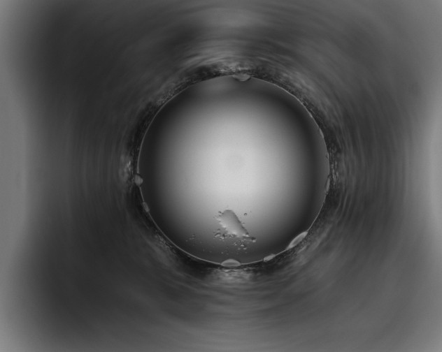 X0000093400327200710121103