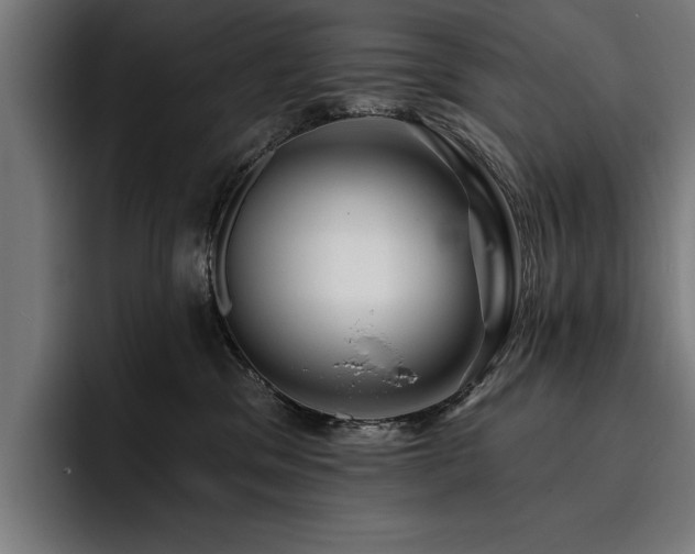 X0000093400329200710121103