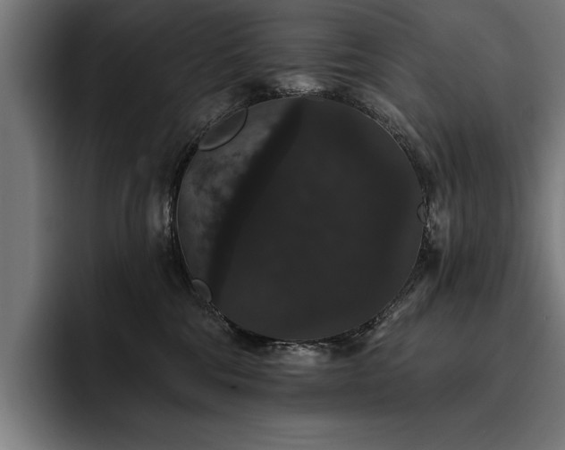 X0000093400330200710121103