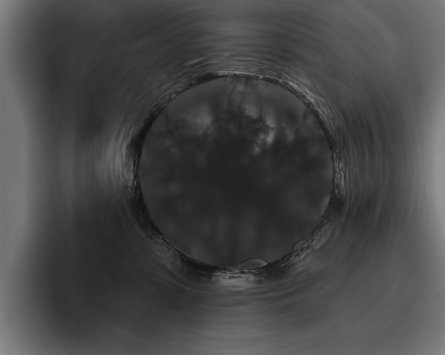 X0000093400331200710121103