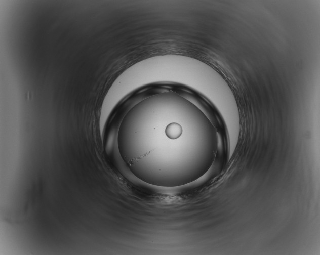 X0000093400333200710121103