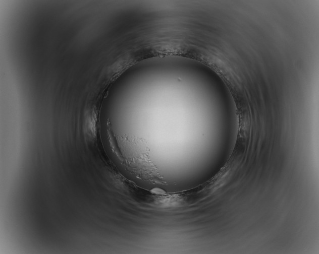X0000093400334200710121103