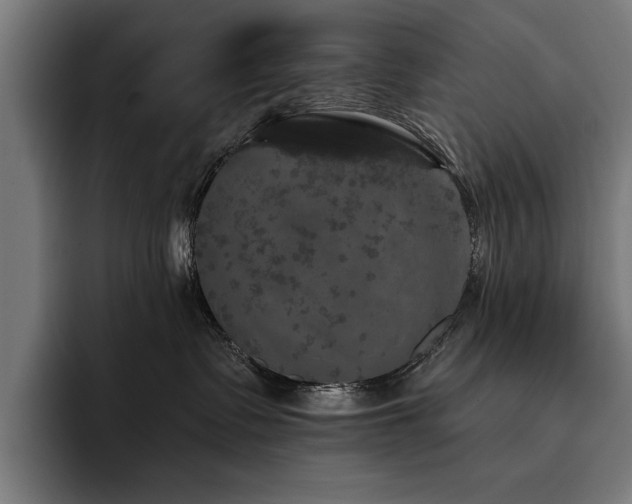 X0000093400335200710121103