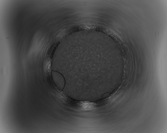X0000093400336200710121103