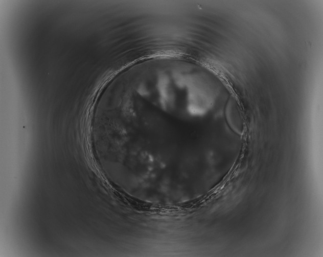 X0000093400337200710121102