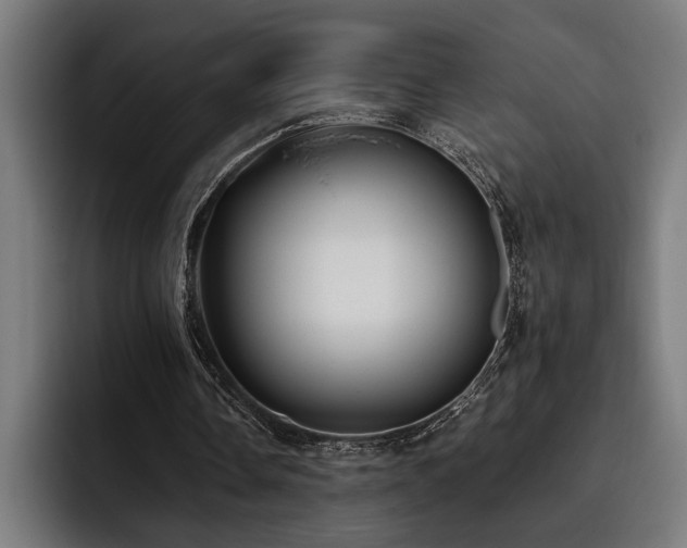 X0000093400338200710121102