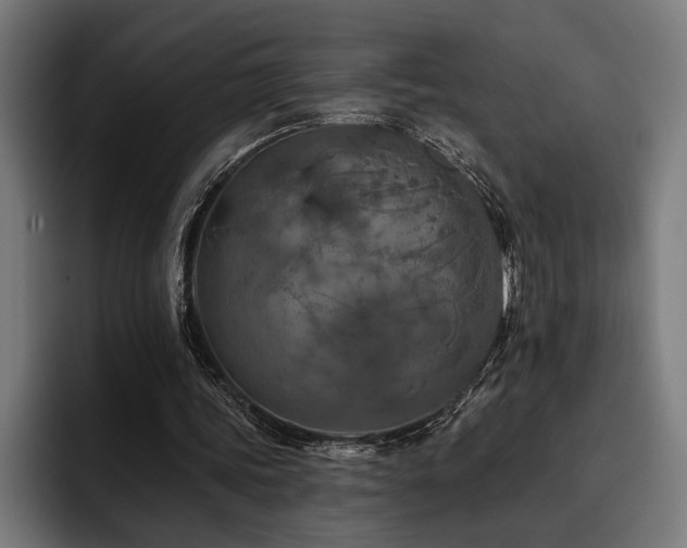 X0000093400339200710121102