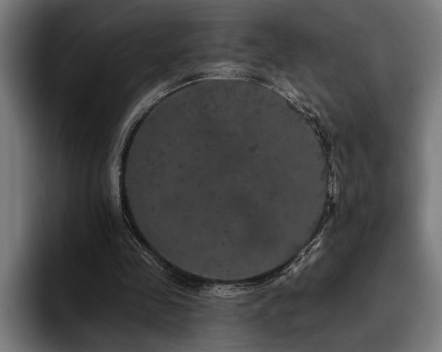 X0000093400341200710121103