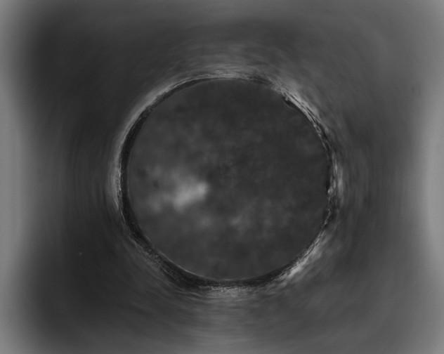 X0000093400342200710121103