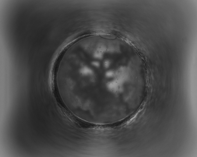 X0000093400343200710121103