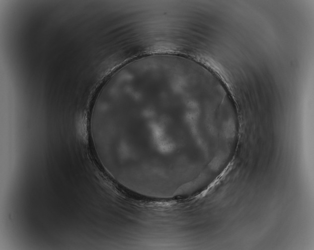 X0000093400345200710121103