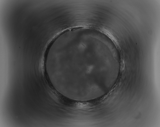 X0000093400346200710121103