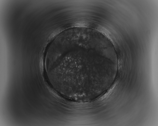 X0000093400349200710121103