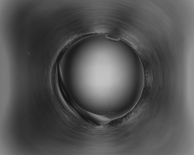 X0000093400350200710121103