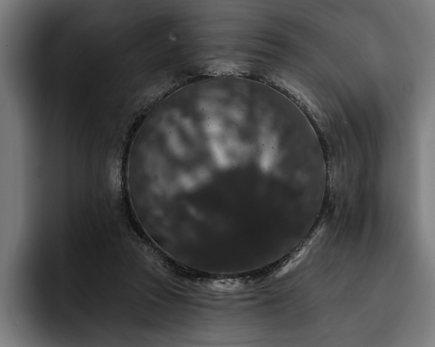 X0000093400353200710121103