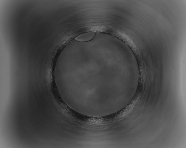 X0000093400354200710121103