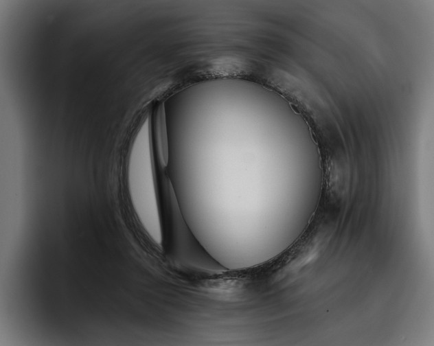 X0000093400356200710121103